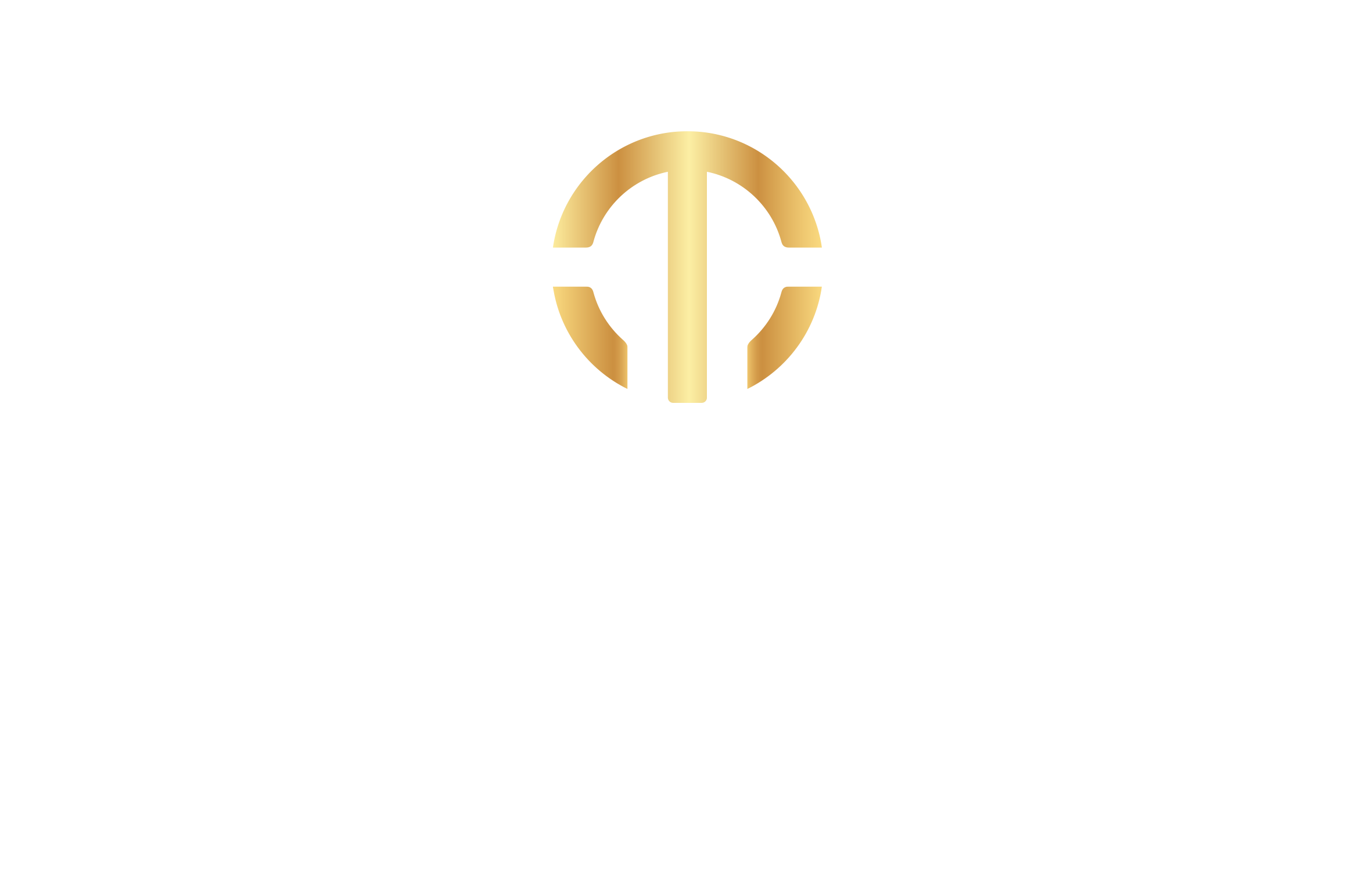 WebTizornica Logo